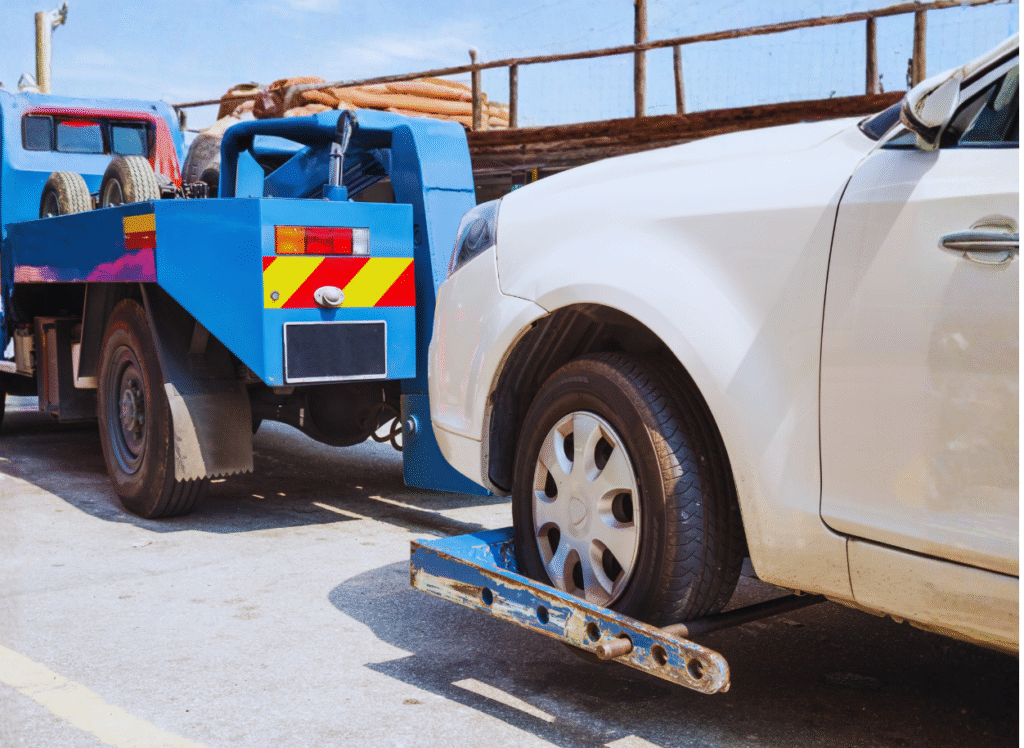 diseño sin título (3)